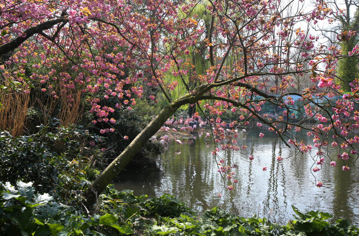 ARTIS-Park tickets met korting - afbeelding 3