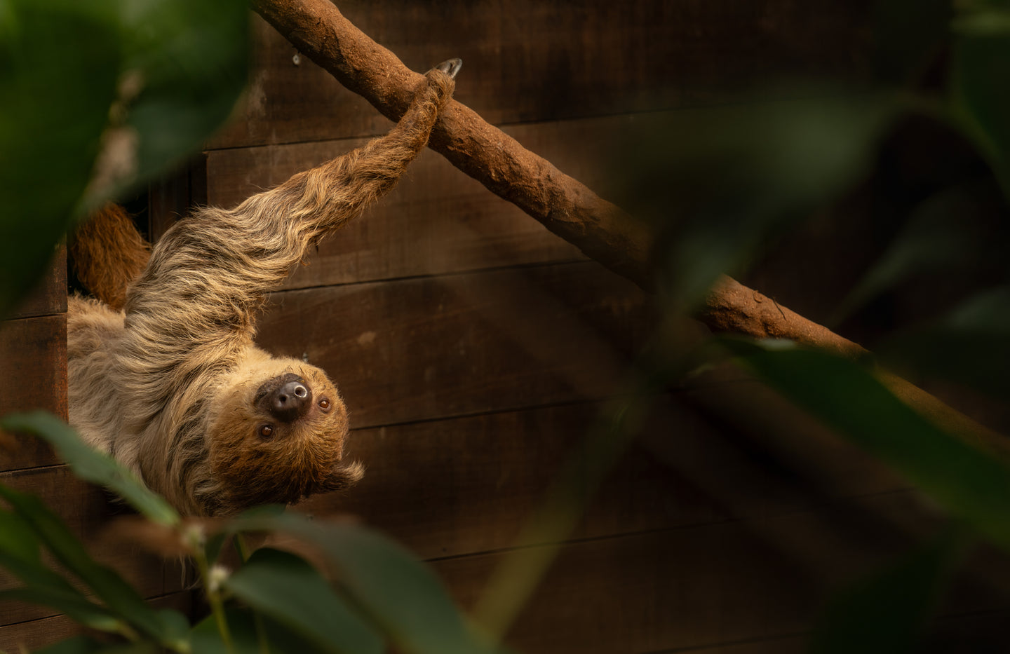 Wildlands Adventure Zoo Emmen - afbeelding 10