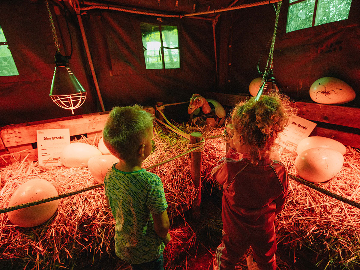 Dinoweken bij Kinderpretpark Julianatoren - afbeelding 7