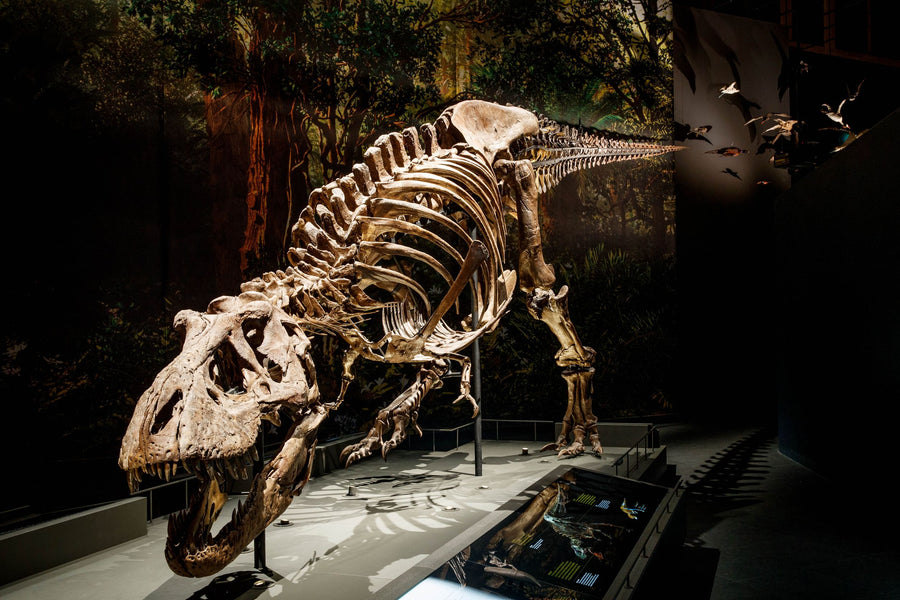 Naturalis + gratis toegang Rexperience - afbeelding 1