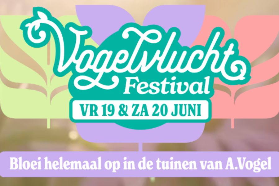 Vogelvlucht Festival - afbeelding 1