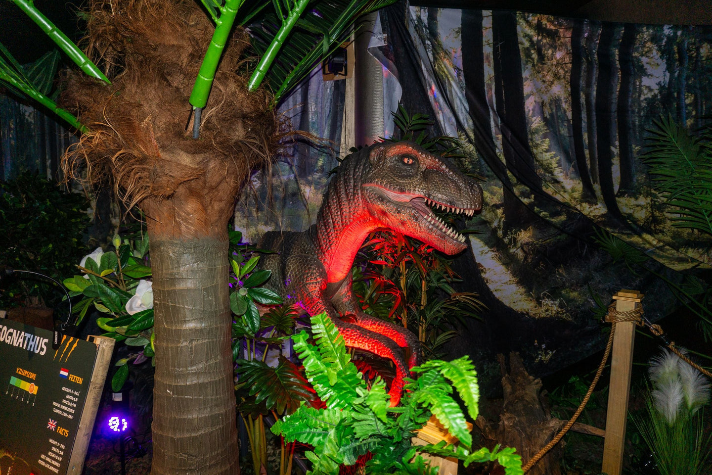 world-of-dinos-zandvoort - afbeelding 3