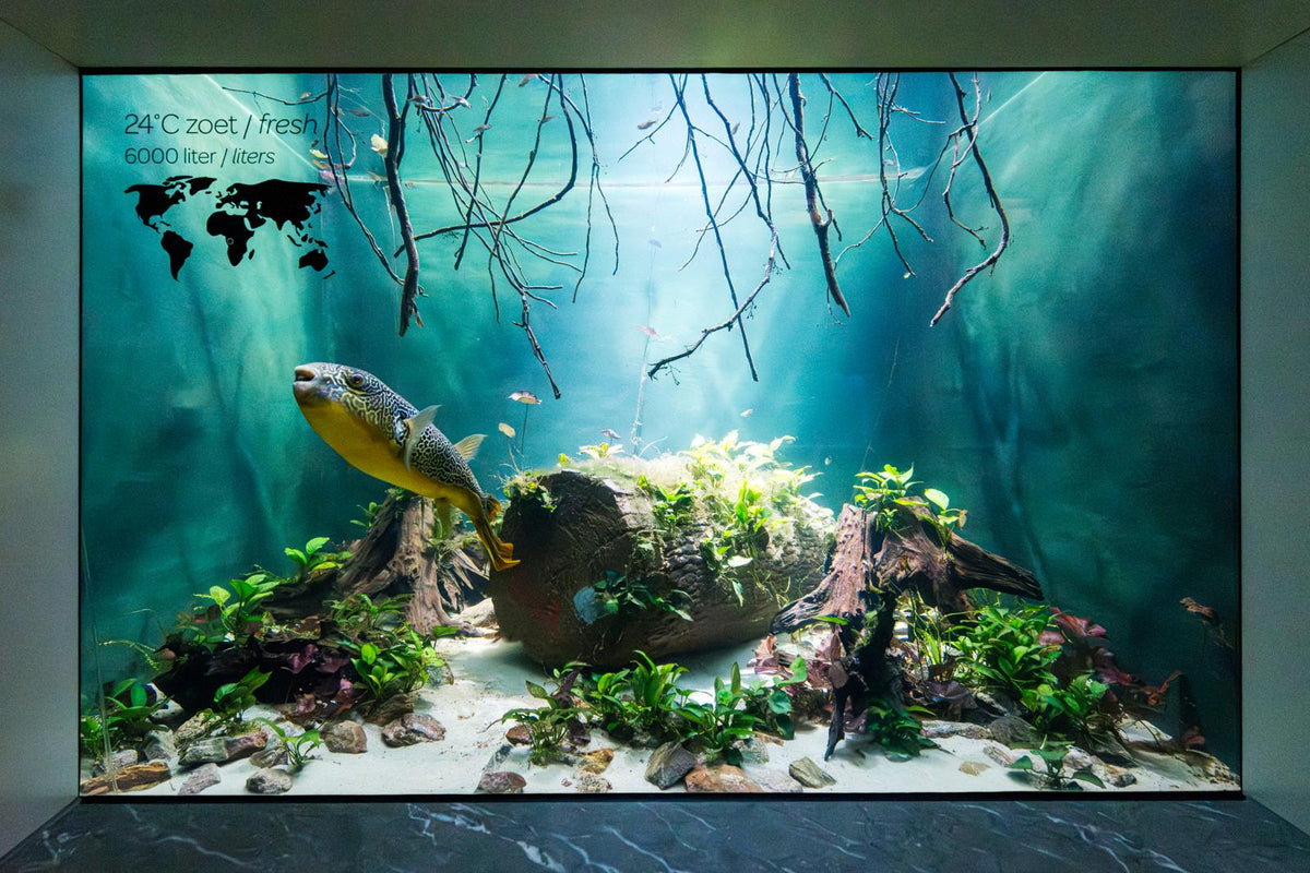 Artis - Abonnee cadeau - afbeelding 2