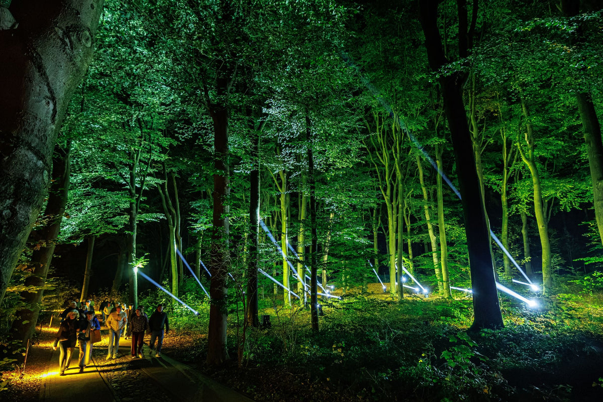 Nederlands Openluchtmuseum Uitgelicht - afbeelding 8