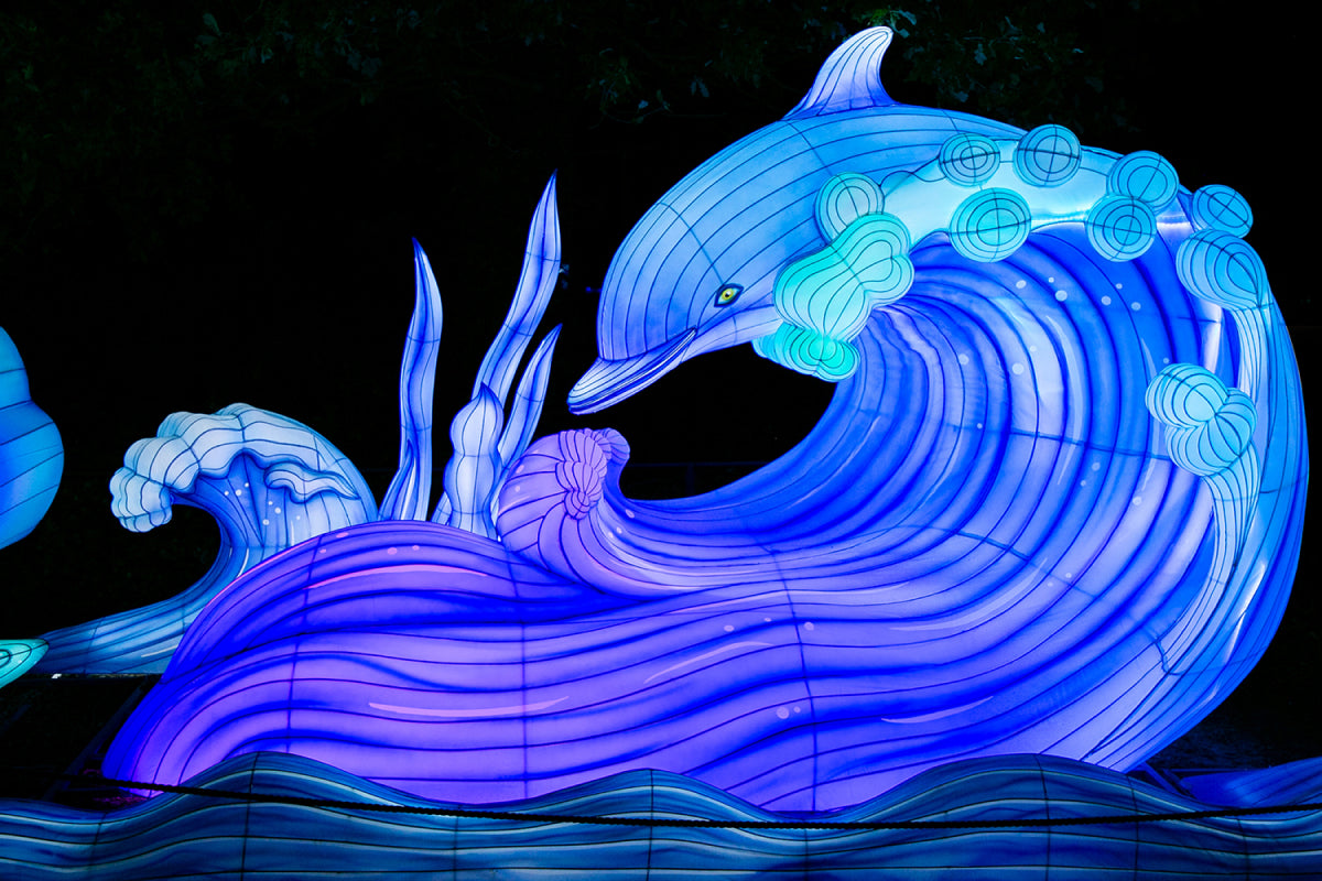 Ouwehands Dierenpark - Light Nights - afbeelding 3