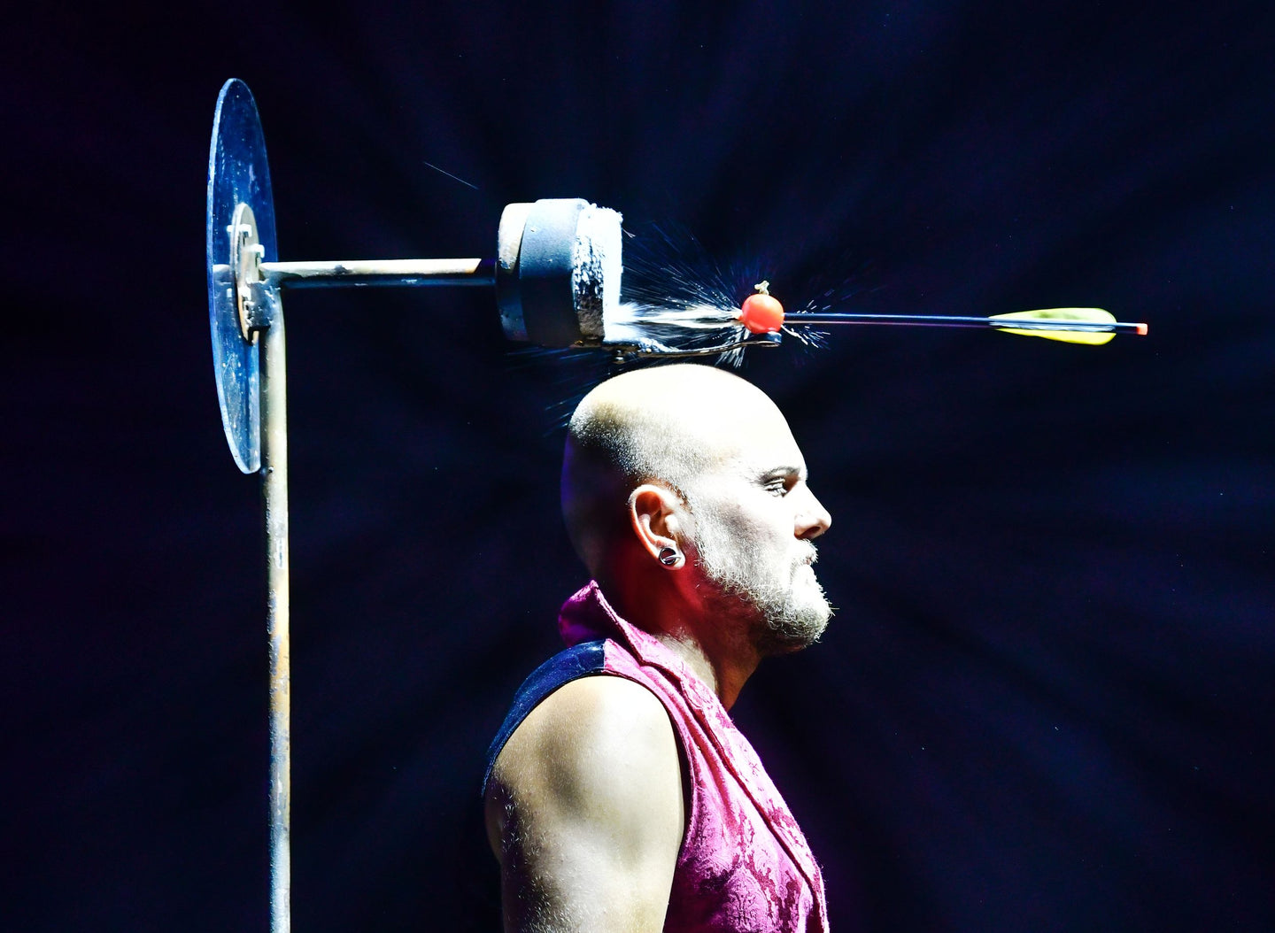 Great Christmas Circus - afbeelding 4