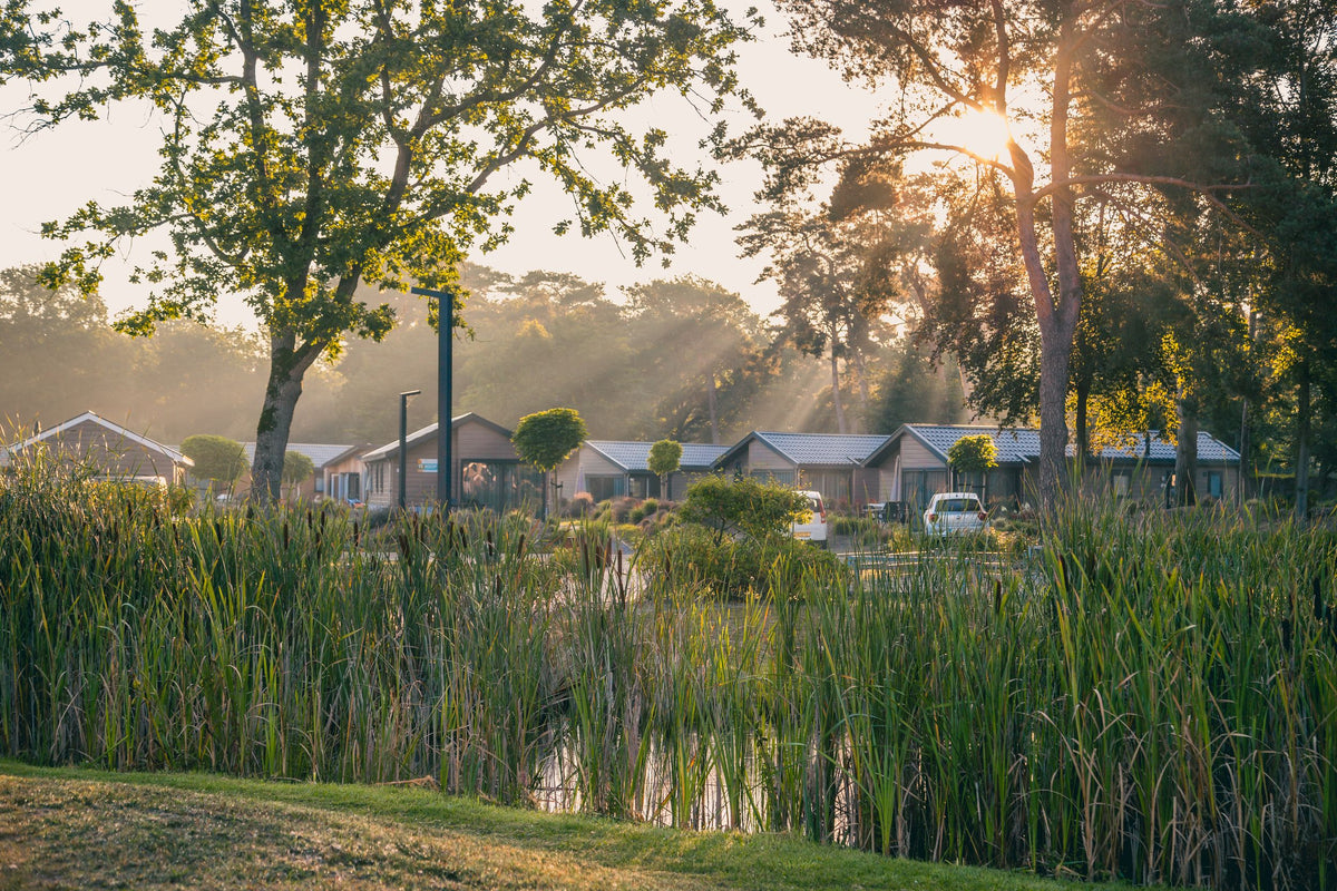 EuroParcs Zilverstrand - afbeelding 5