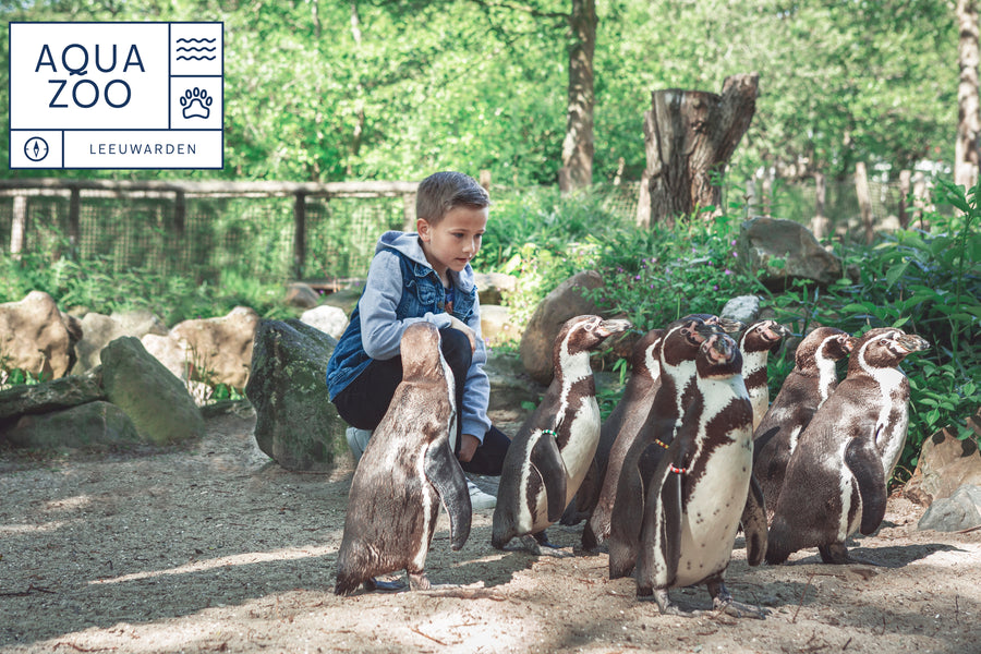 dagje-uit-dierenpark-aquazoo-friesland - afbeelding 1