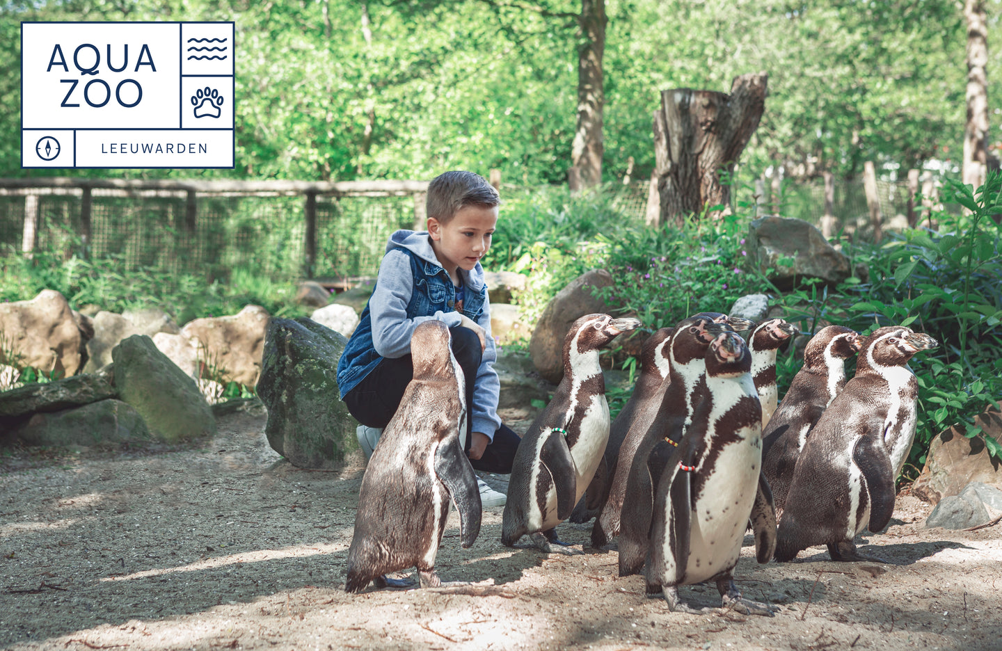 dagje-uit-dierenpark-aquazoo-friesland - afbeelding 1